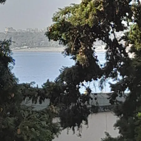 Bat Antalya
